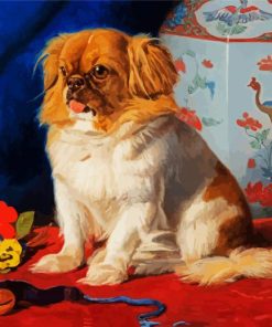 Pekingese Dog paint by numbers