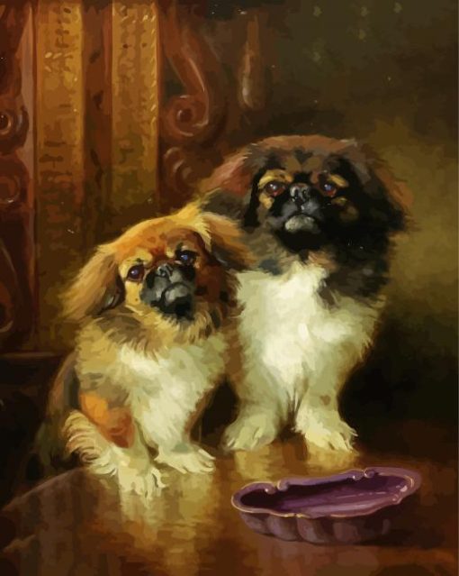 Pekingese Dogs paint by numbers