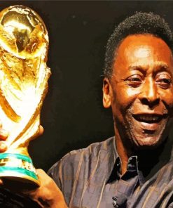 Pele Professional Footballer paint by numbers