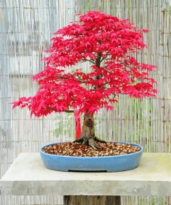 Pink Bonsai Tree paint by numbers