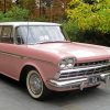 Pink Rambler Car Paint By Number