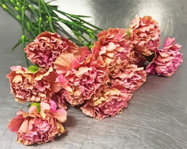 Pink Carnations Bouquet paint by numbers