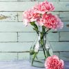 Pink Carnations Glass Vase paint by numbers