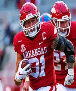 Players Of Arkansas Razorbacks Paint By Number