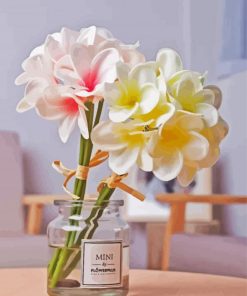 Plumeria In Jar Paint By Number