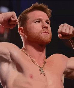 Professional Boxer Canelo paint by numbers