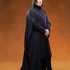 Professor Severus Snape Harry Potter paint by numbers