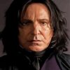 Professor Severus Snape paint by numbers