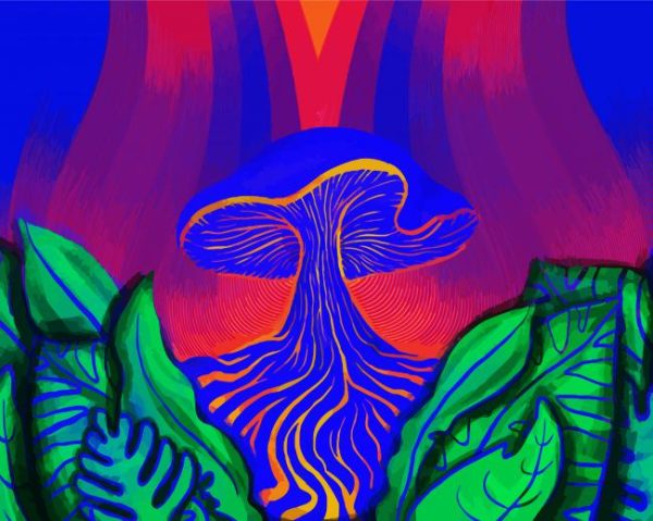 Psychedelic Mushroom Paint By Number