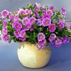 Purple Petunia Vase paint by numbers