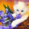 Ragdoll Cat And Flowers Paint By Number