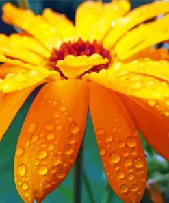 Raindrops on Flower paint by numbers