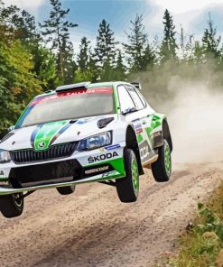 Skoda Rally Car Paint By Number