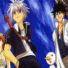 Rave Master Anime Characters paint by numbers