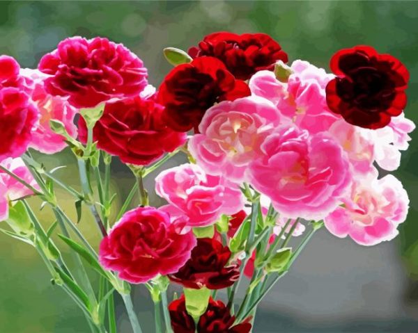 Red and Pink Carnations paint by numbers