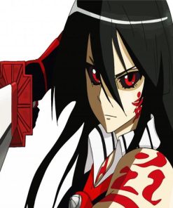 Red Eyed Akame Ga Kill Paint By Number