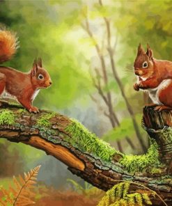 Red Squirrels paint by numbers