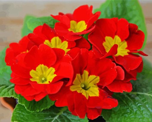 Red Primrose paint by numbers