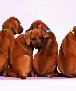 Rhodesian Ridgeback Puppies paint by numbers