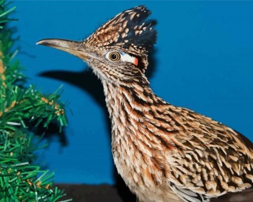 Roadrunner Bird paint by numbers