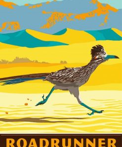 Roadrunner Illustration Paint By Number