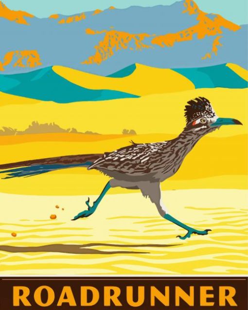 Roadrunner Illustration Paint By Number