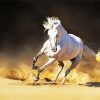 Running White Andalusian Horse Paint By Number