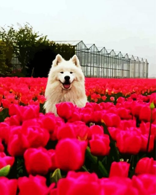 Samoyed Dog paint by numbers