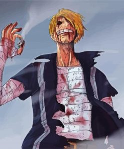 Sanji Black Leg One Piece paint by numbers