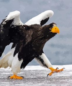 Sea Eagle Bird in Snow paint by numbers