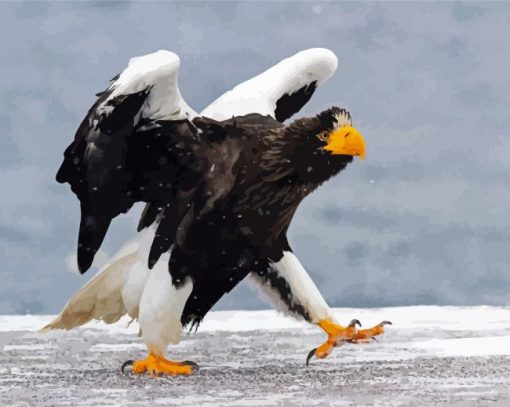 Sea Eagle Bird in Snow paint by numbers