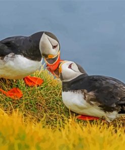 Seabirds paint by numbers