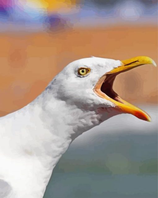 Seagulls Bird Head paint by numbers