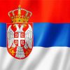 Serbia State Flag Paint By Number