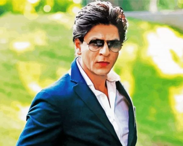 Shah Rukh Khan paint by numbers