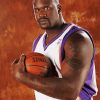 Shaq Basketball Player Paint By Number