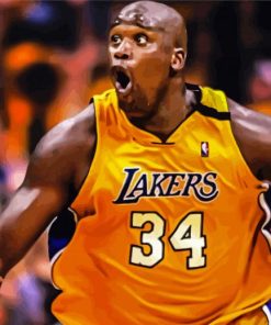 Shaquille O'Neal paint by numbers