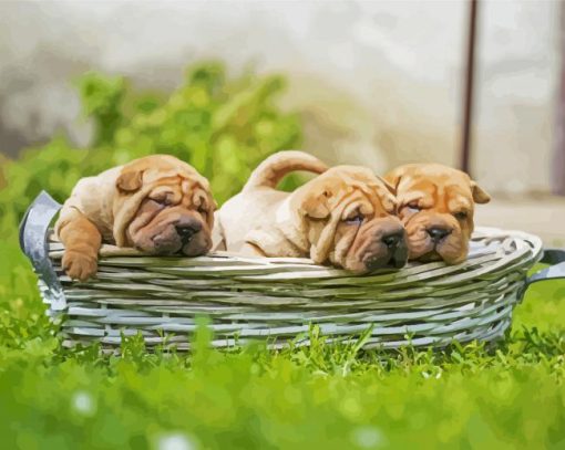 Shar Pei Puppies in Basket paint by numbers