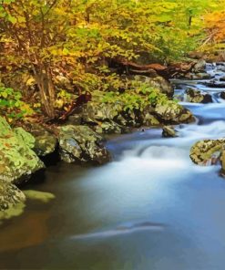 Shenandoah Landscape paint by numbers