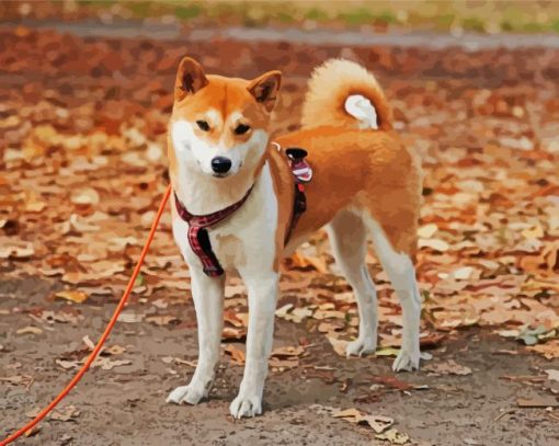 Shiba Inu Puppy Dog paint by numbers