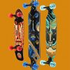 Skate Longboards Art Paint By Number