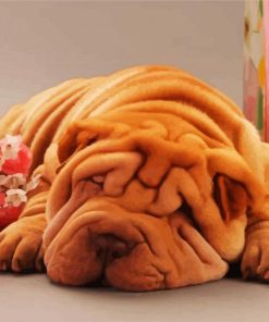 Sleepy Shar Pei paint by numbers