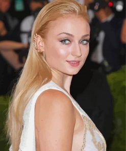 Sophie Turner paint by numbers