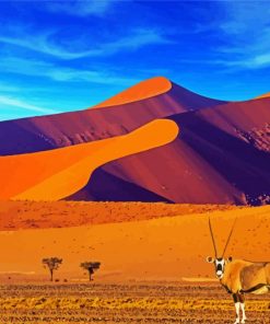 Southern Africa Namibia paint by numbers