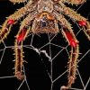 Spider in Web paint by numbers