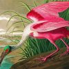 Spoonbills Art paint by numbers