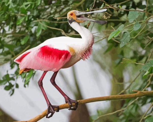 Spoonbills Bird paint by numbers