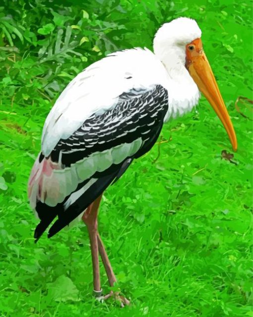 Stork Bird paint by numbers