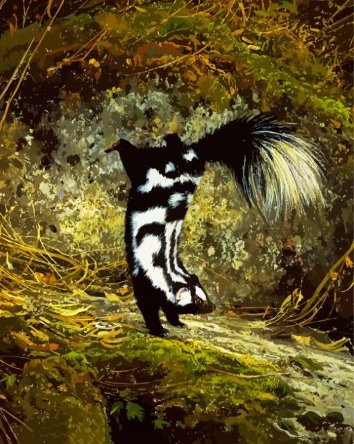 Striped Skunk Animal paint by numbers