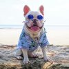 Stylish French Bulldog Paint By Number